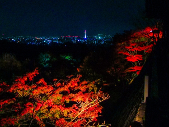 高台寺ライトアップはじまりましたヽ(´▽｀)/