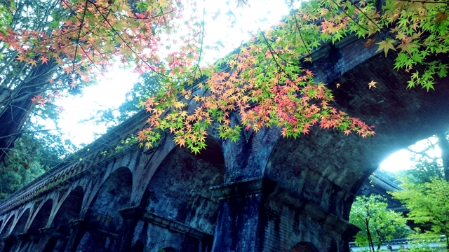 美しい京都の始まりですヽ(´▽｀)/