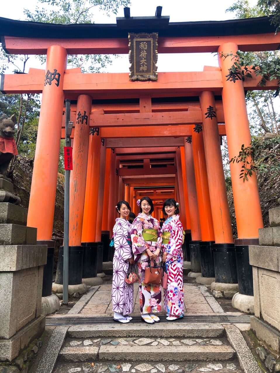 桜が咲き始めています、、♪