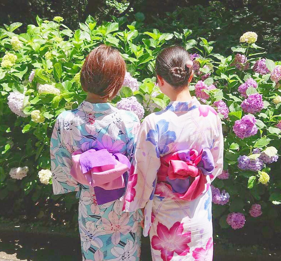 あじさいと♪