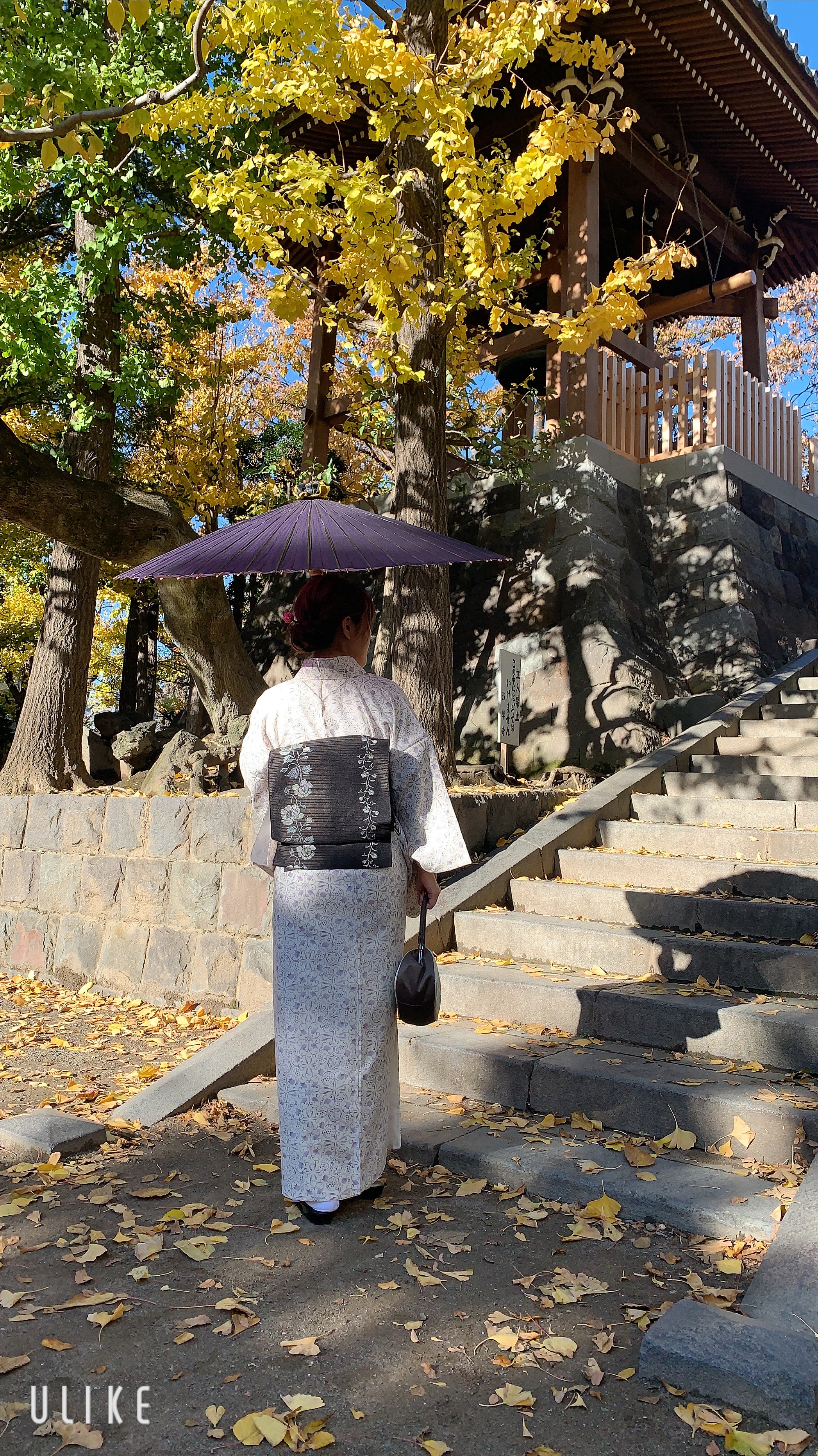 まだまだ紅葉！