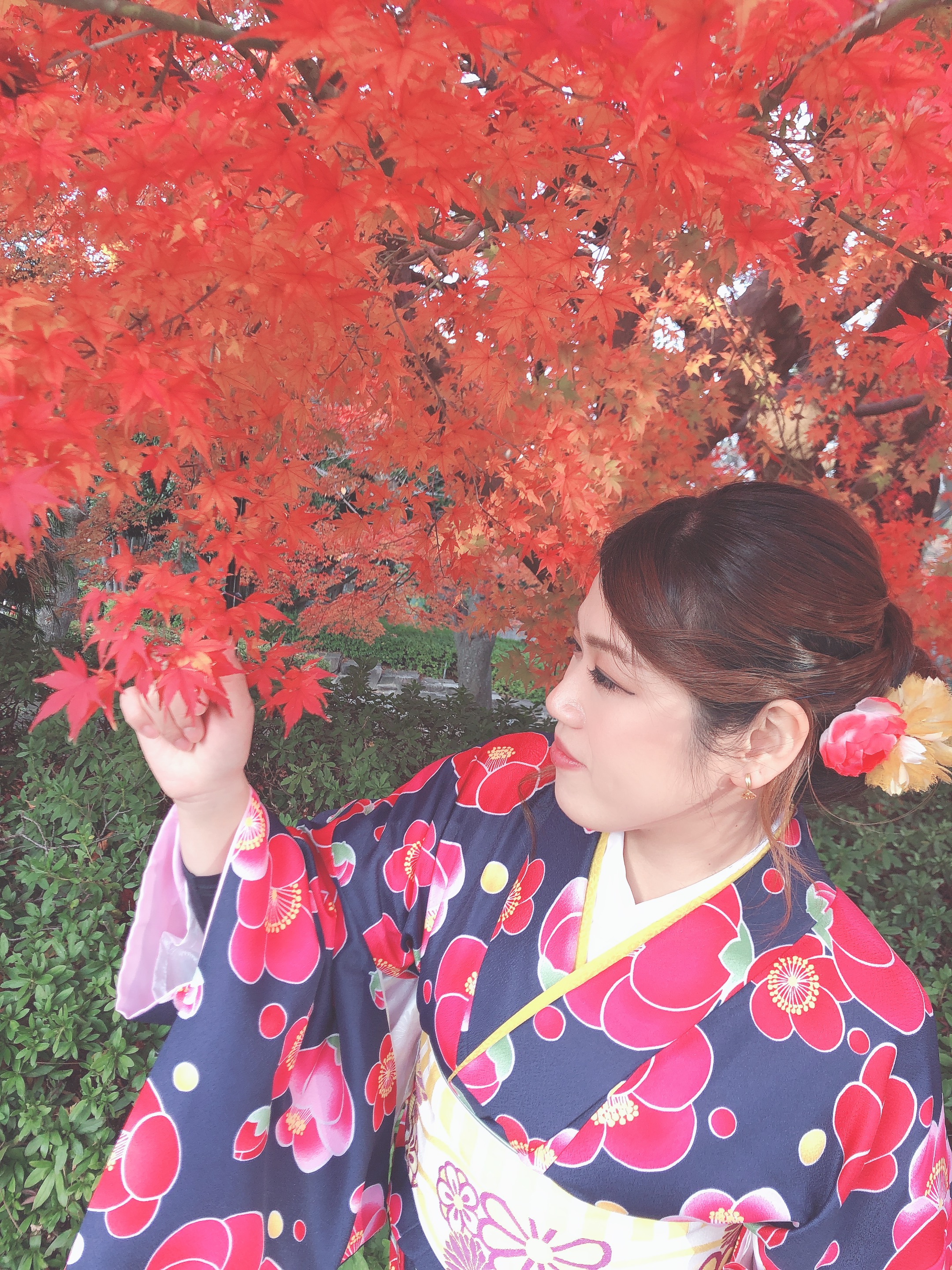 紅葉