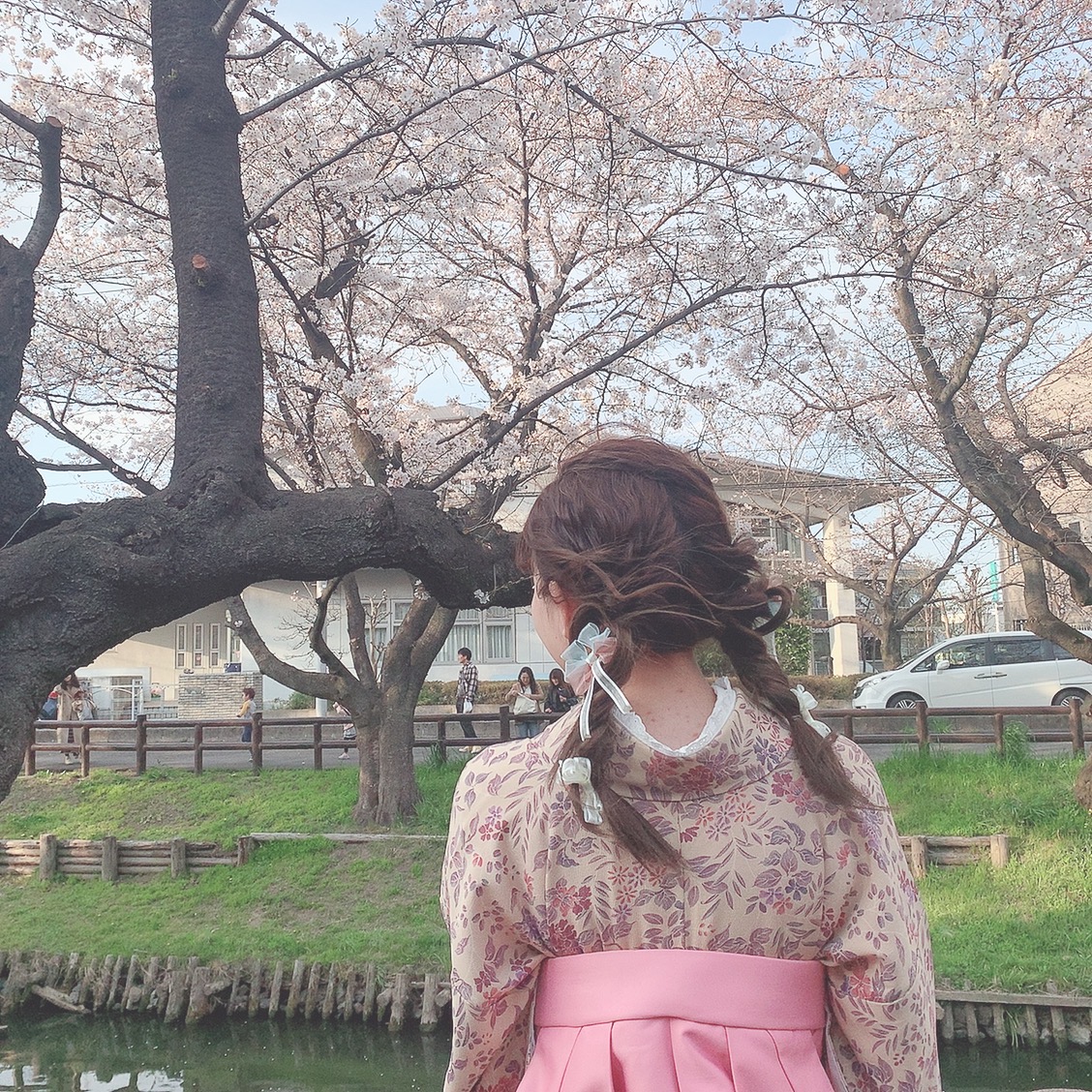 桜の写真で和んでください(((o(*ﾟ▽ﾟ*)o)))♡