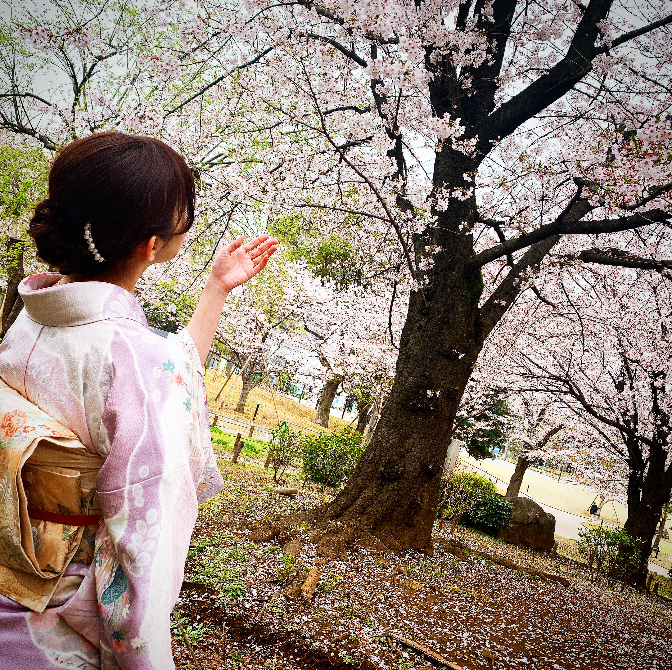 訪問着とっても素敵です♡♡♡
