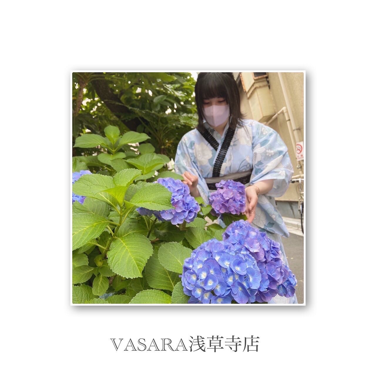 隅田川沿いの紫陽花がスタートしております♡