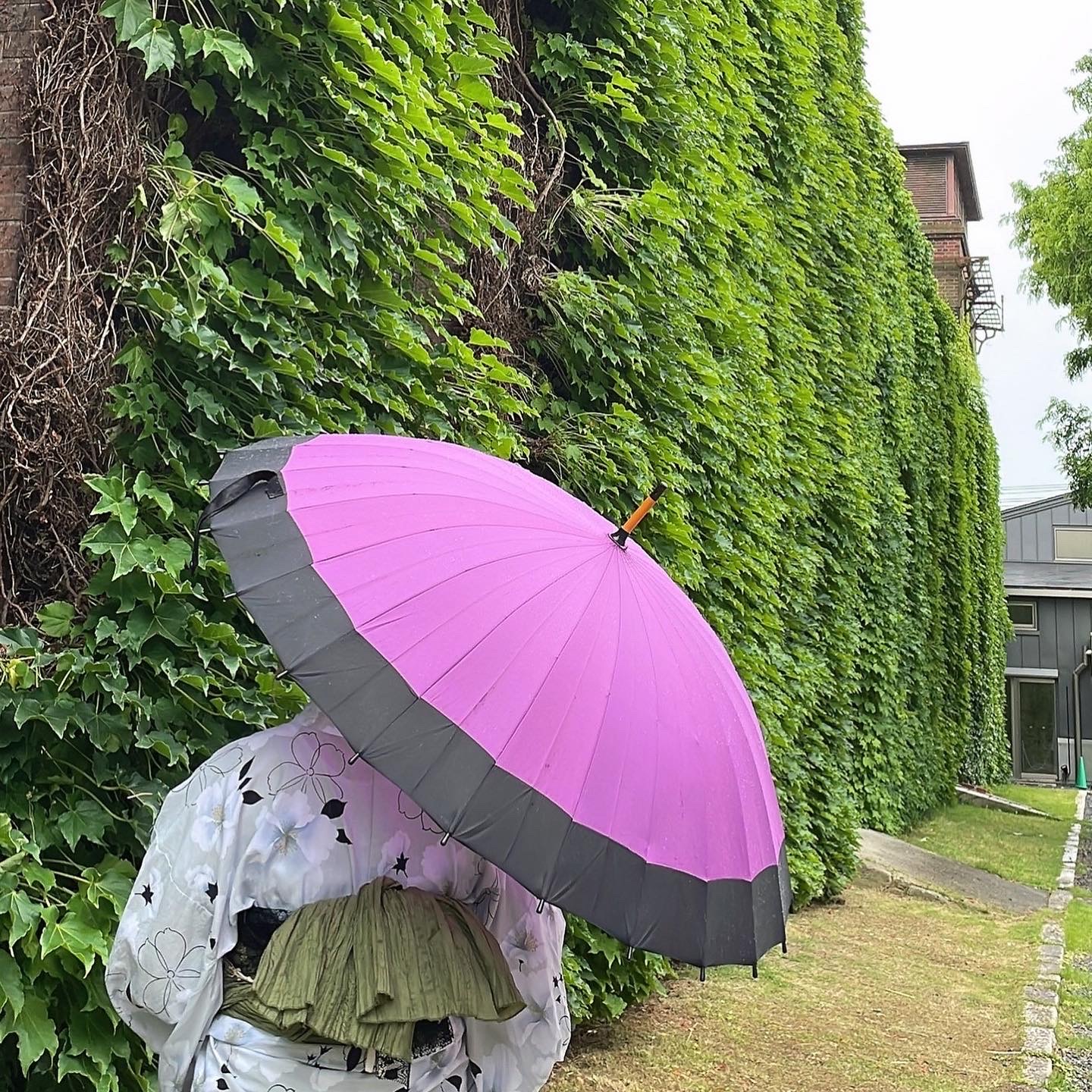 雨の日でも楽しめます♪