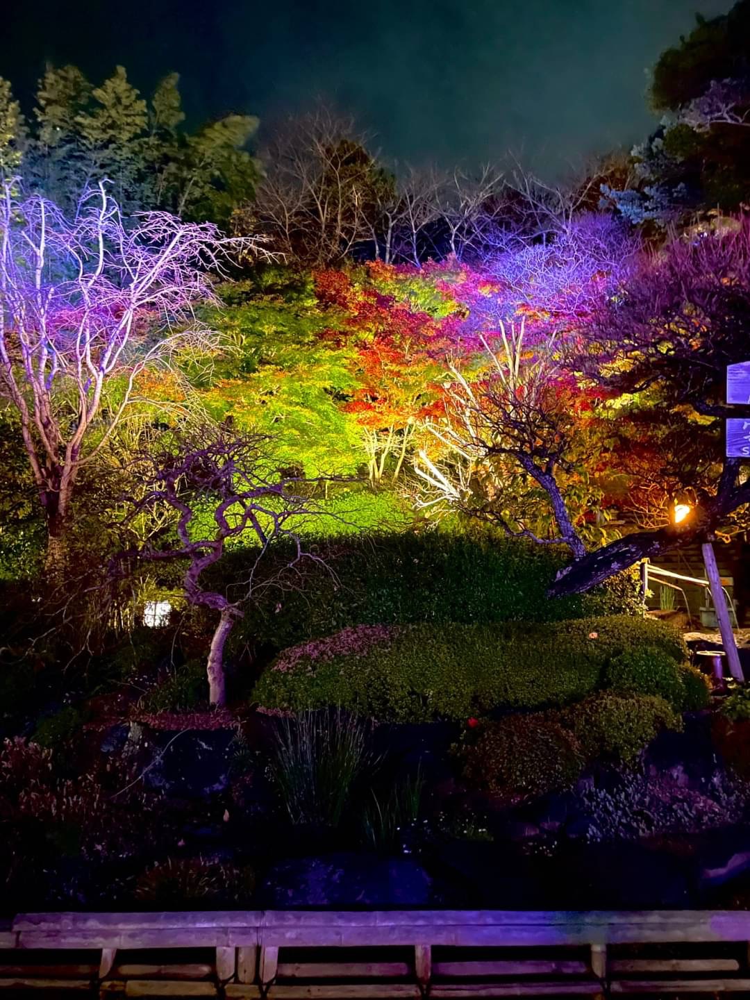 鎌倉紅葉×着物 〜長谷寺ライトアップ〜