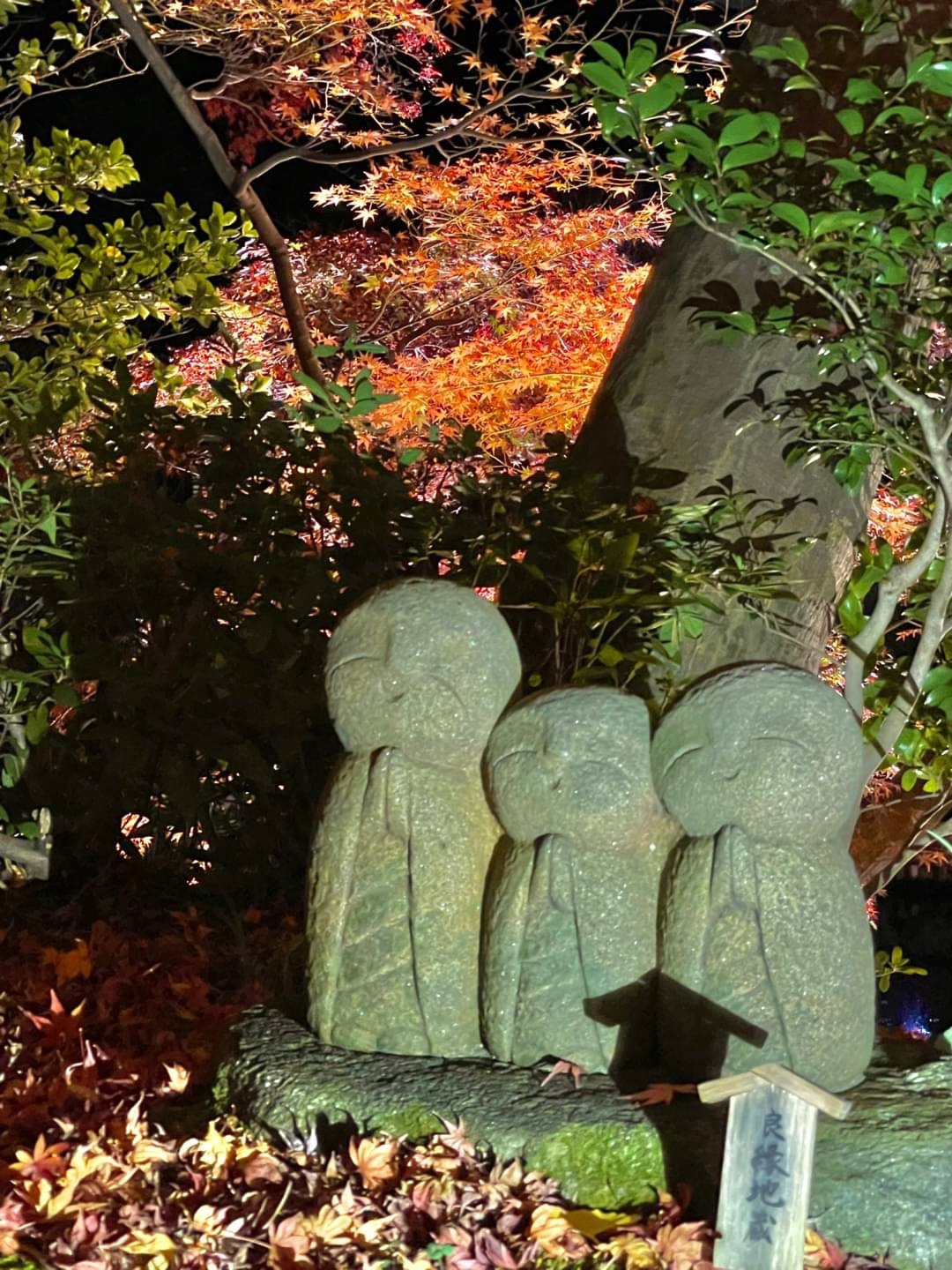 鎌倉紅葉×着物 〜長谷寺良縁地蔵〜