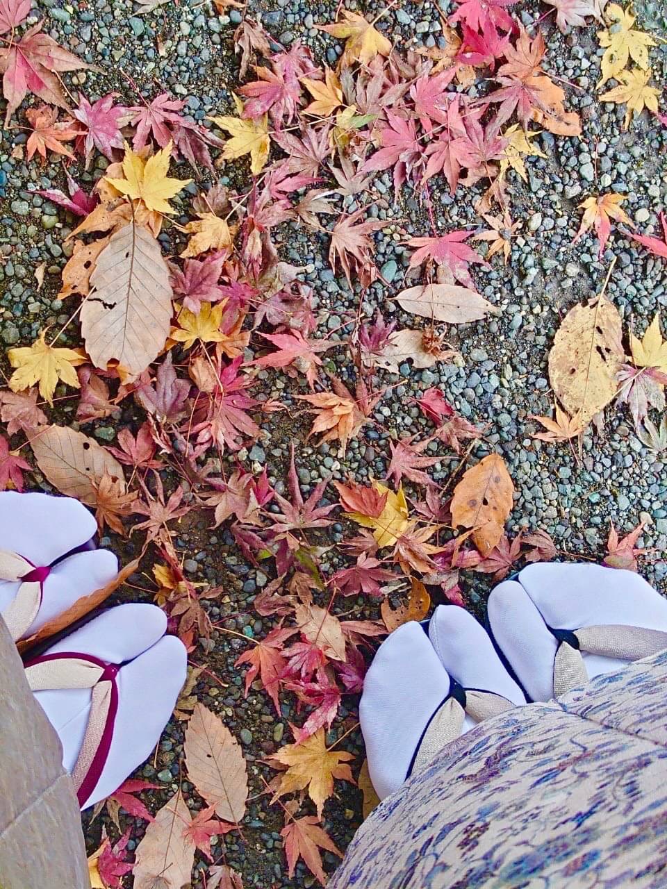 鎌倉紅葉×着物 〜紅葉狩り〜
