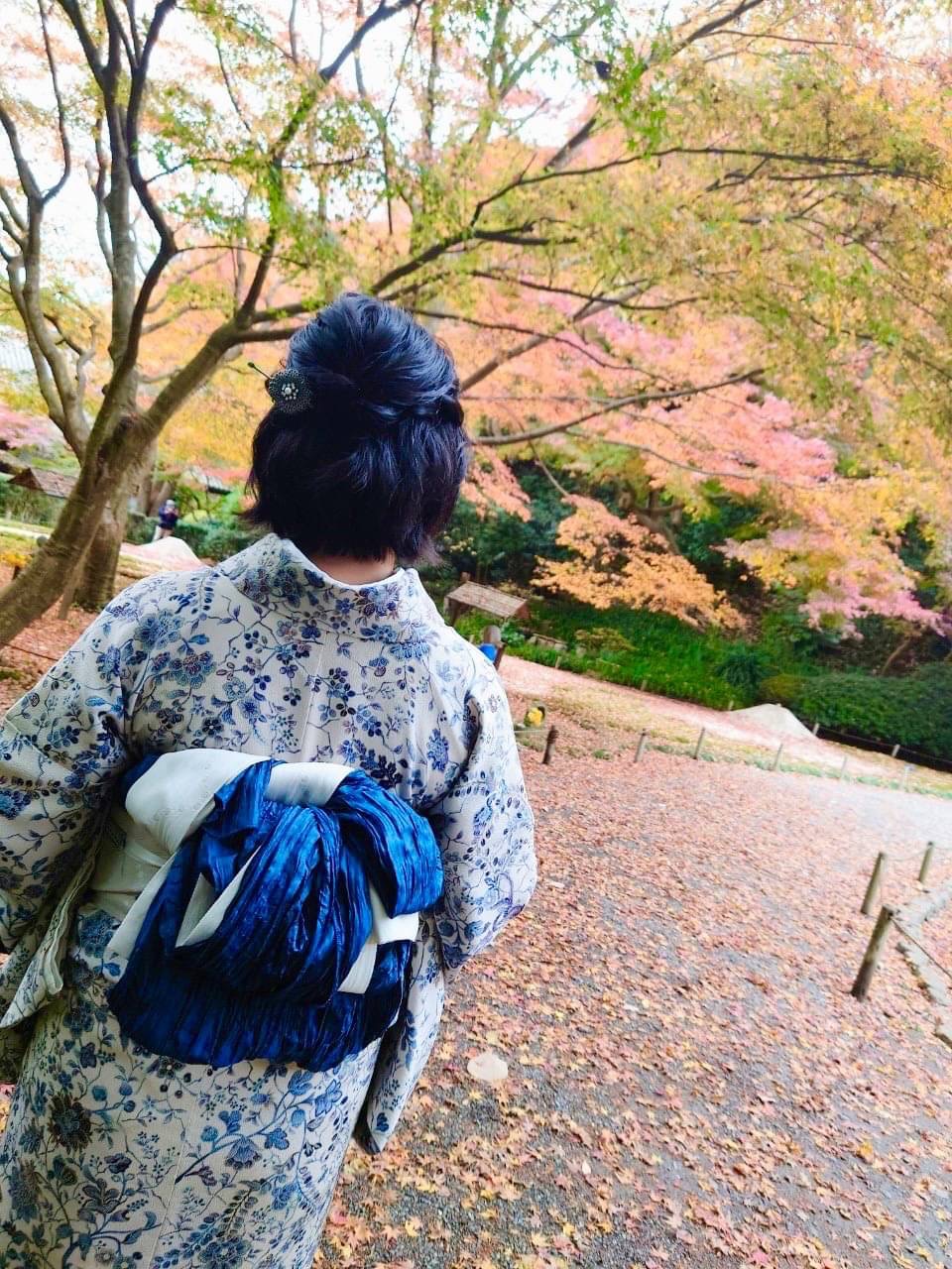 鎌倉紅葉×着物 〜レトロモダン〜