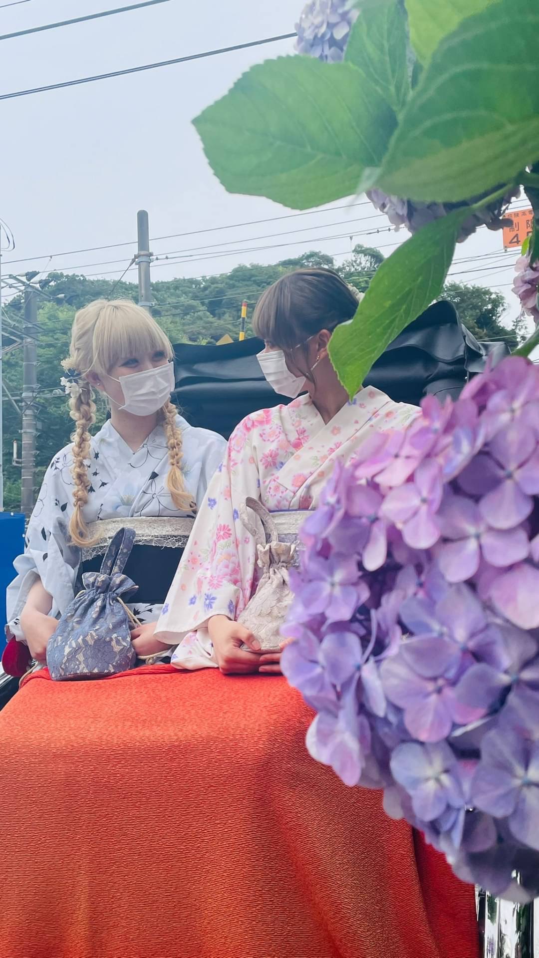 紫陽花シーズン到来!vol.10