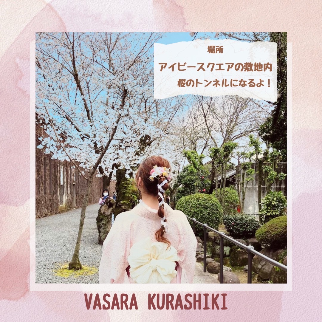 倉敷着物レンタルVASARA/倉敷訪問着レンタル