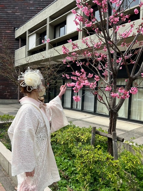 横浜みなとみらい 着物でお花見♡