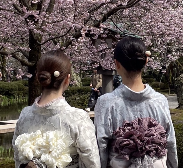 金沢兼六園店♡桜満開の兼六園