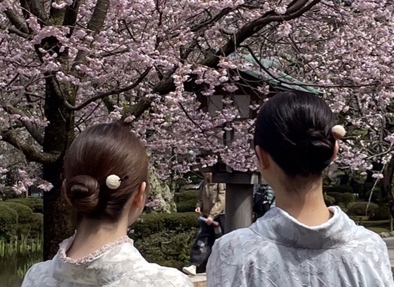 金沢兼六園店♡桜と着物