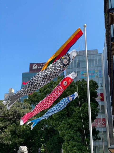 福岡着物レンタル/こどもの日